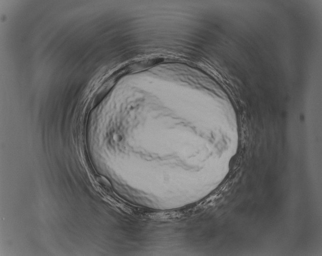 X0000067920241200605041716