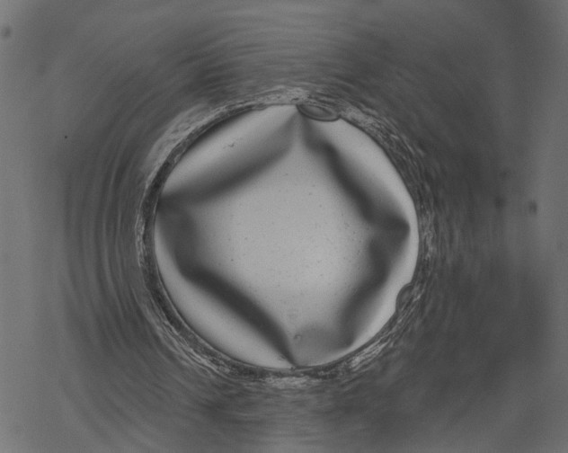 X0000067920242200605041716