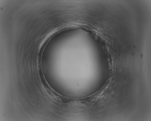 X0000067920244200605041716