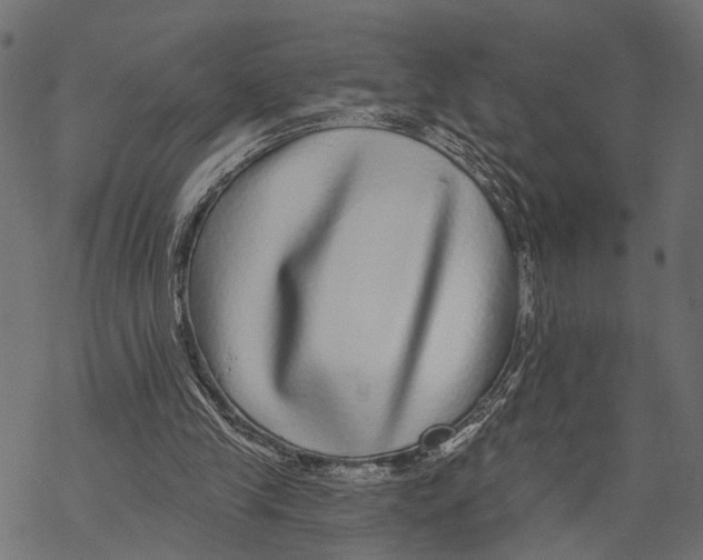 X0000067920245200605041716