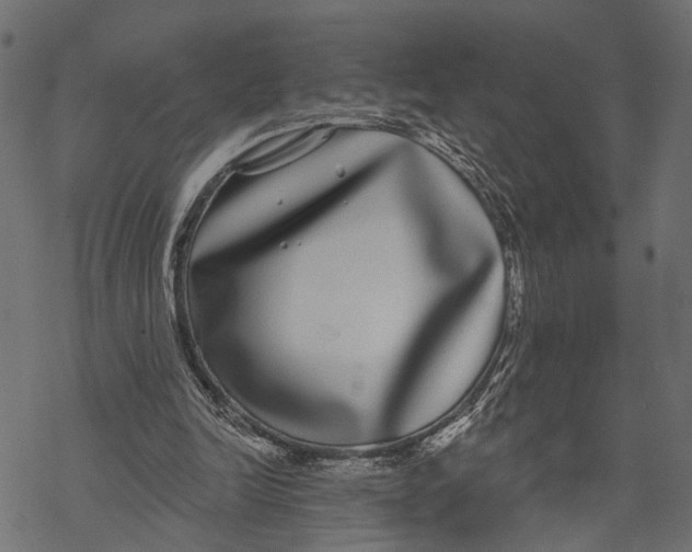 X0000067920246200605041716