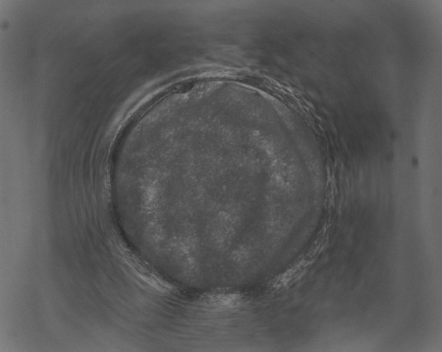 X0000067920247200605041716