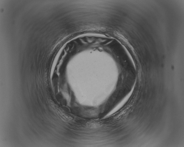 X0000067920249200605041716