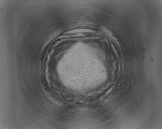 X0000067920250200605041716