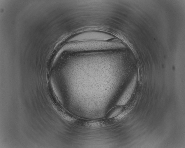 X0000067920253200605041716