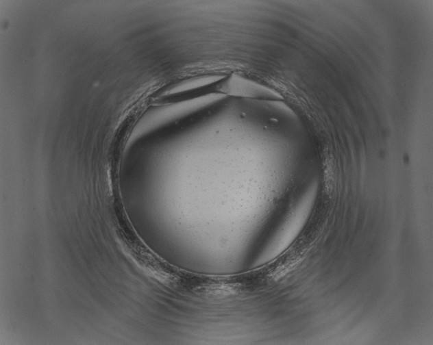 X0000067920254200605041716