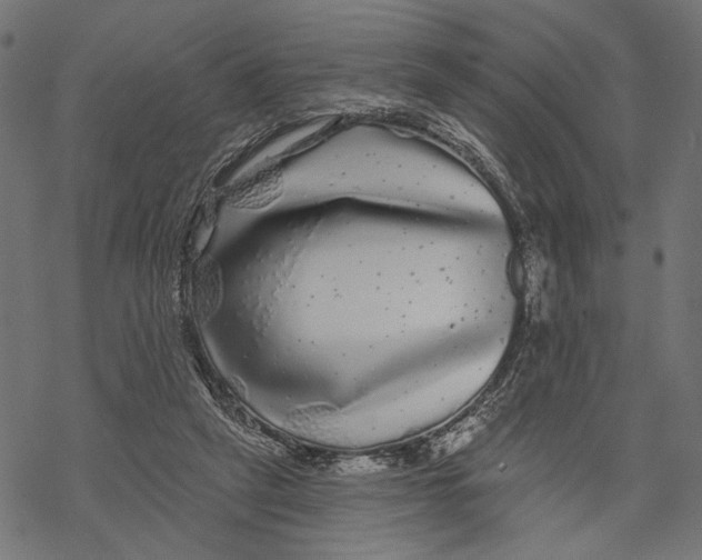 X0000067920257200605041716