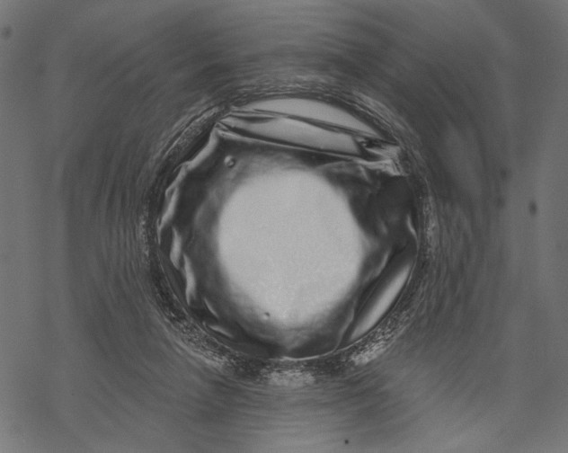 X0000067920258200605041716