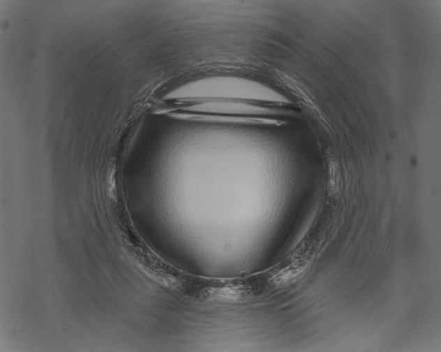 X0000067920259200605041716