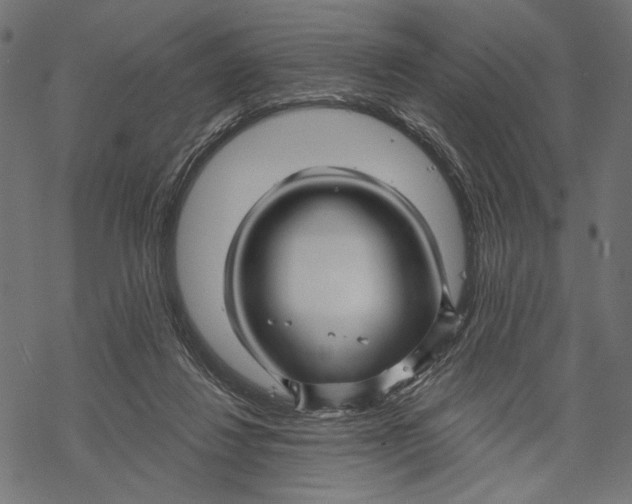 X0000067920260200605041716
