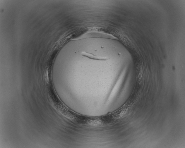 X0000067920262200605041716