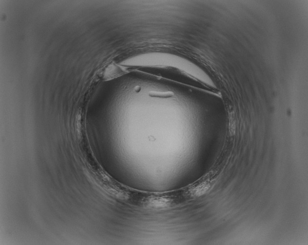 X0000067920263200605041716