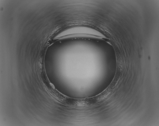 X0000067920264200605041716