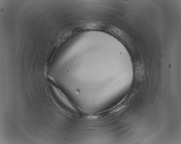 X0000067920265200605041716