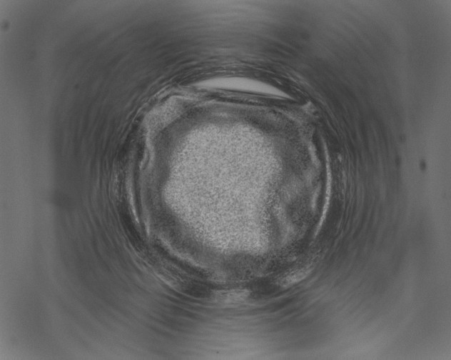 X0000067920266200605041717