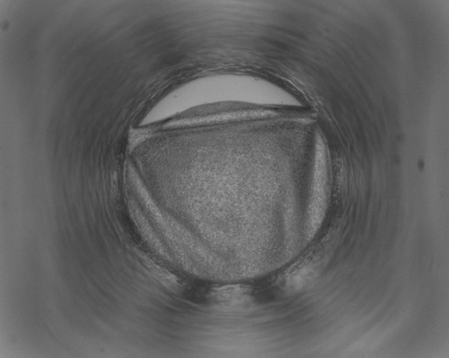 X0000067920269200605041717