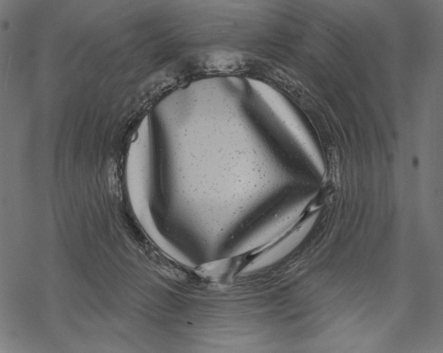 X0000067920270200605041717