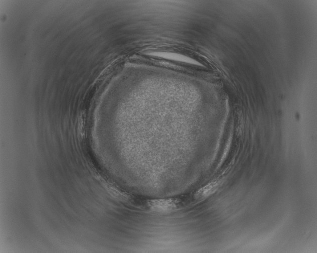 X0000067920273200605041717