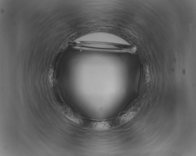 X0000067920275200605041717