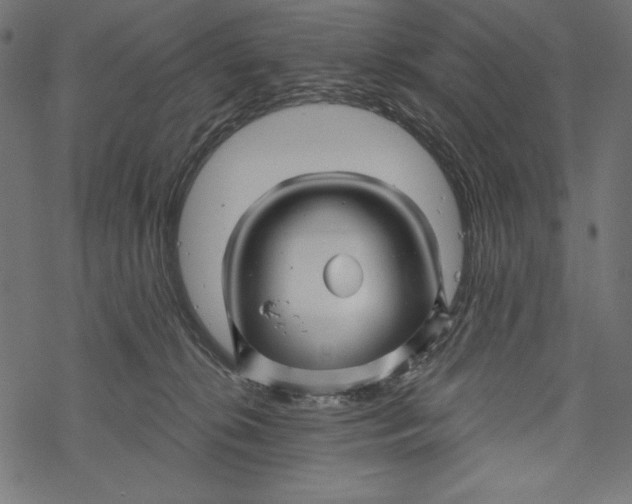 X0000067920276200605041717