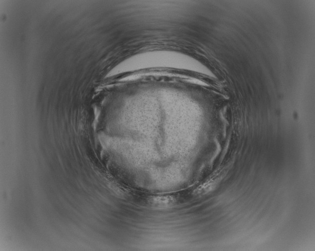 X0000067920277200605041717