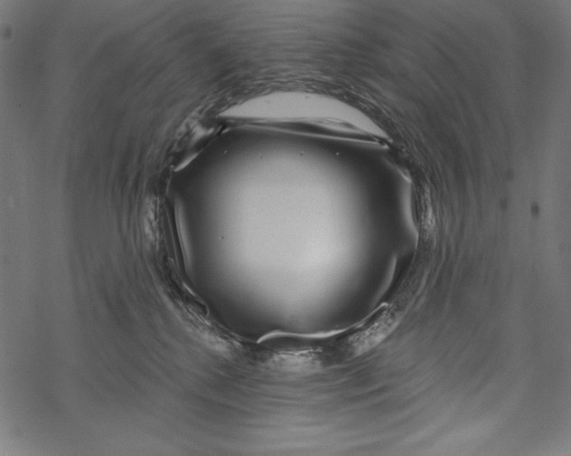 X0000067920280200605041717