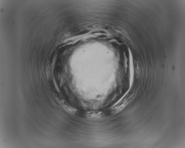 X0000067920285200605041717