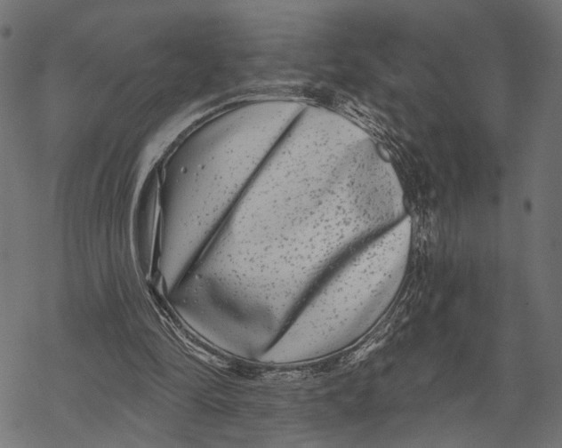 X0000067920294200605041716