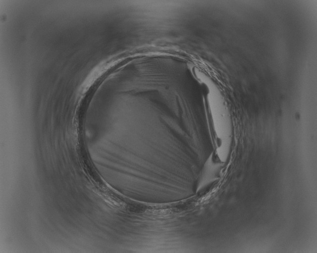 X0000067920295200605041716