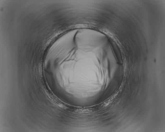 X0000067920297200605041716