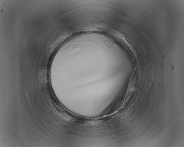 X0000067920299200605041716
