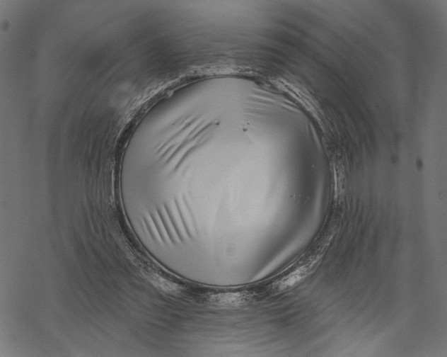 X0000067920301200605041716