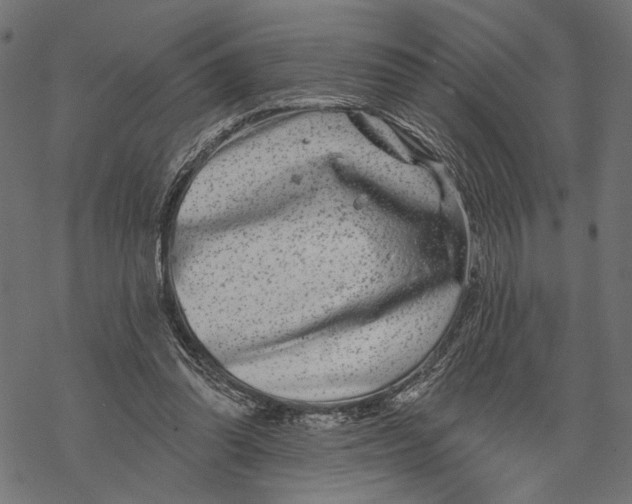 X0000067920302200605041716