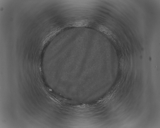 X0000067920303200605041716