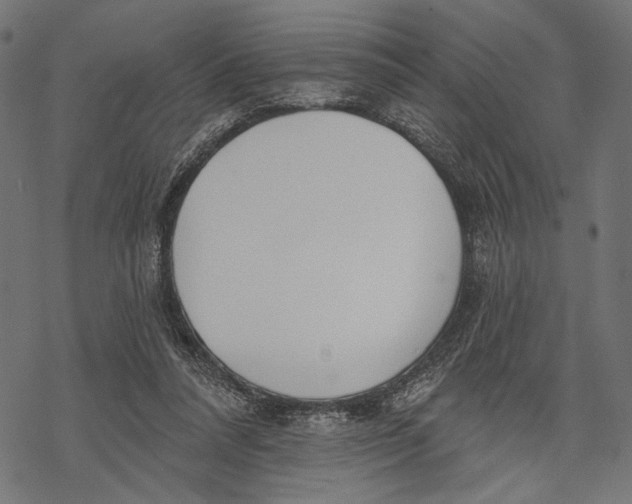 X0000067920304200605041716