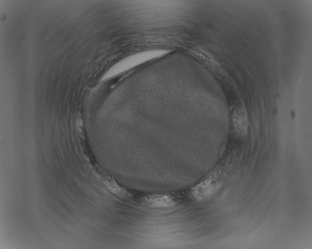 X0000067920322200605041715