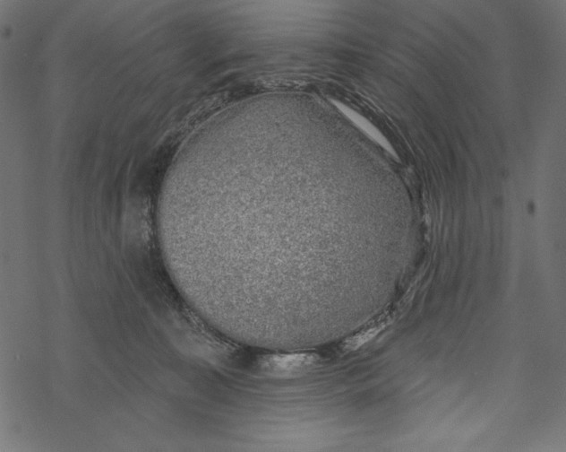 X0000067920323200605041715