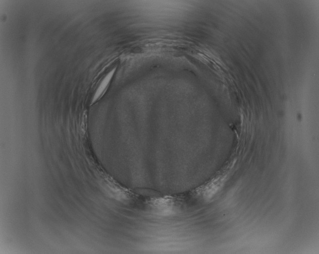 X0000067920325200605041715