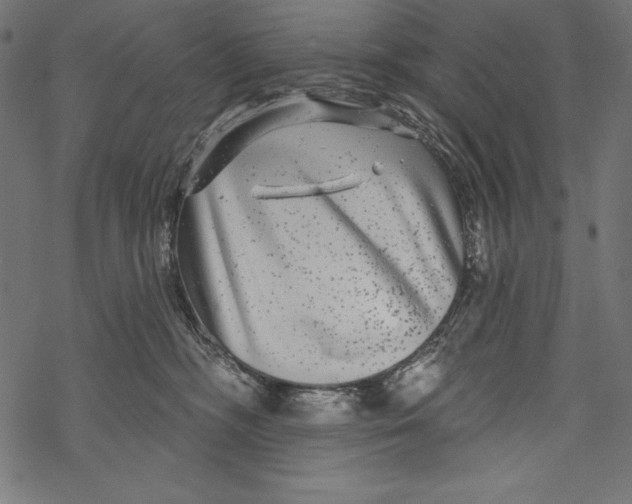 X0000067920326200605041715