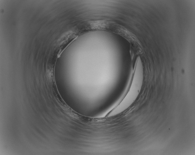 X0000067920329200605041715