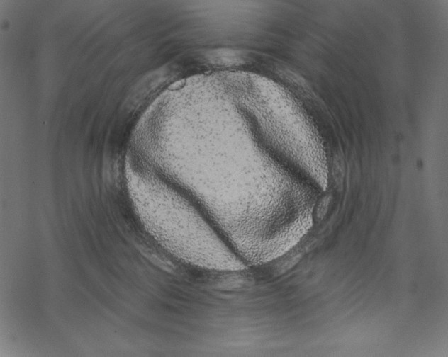 X0000067920330200605041715