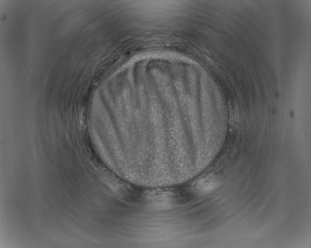 X0000067920331200605041715