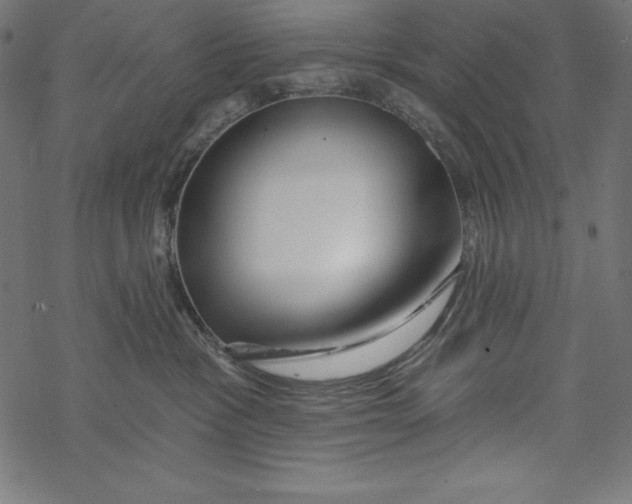 X0000067920333200605041715