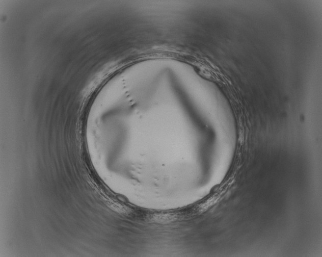 X0000067920341200605041715