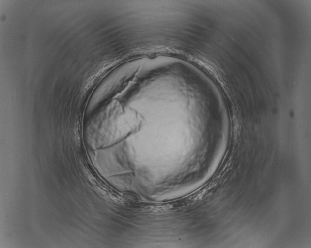 X0000067920345200605041715