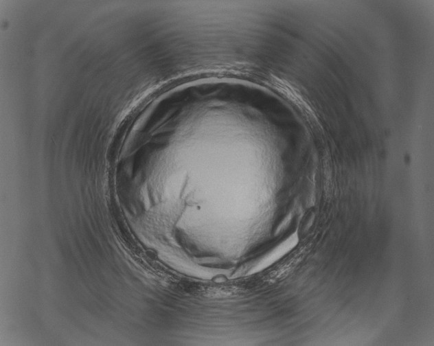 X0000067920346200605041715