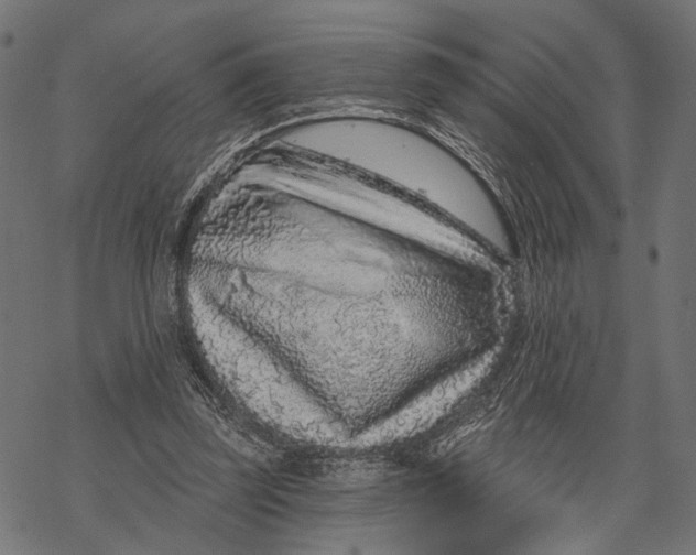 X0000067920347200605041715