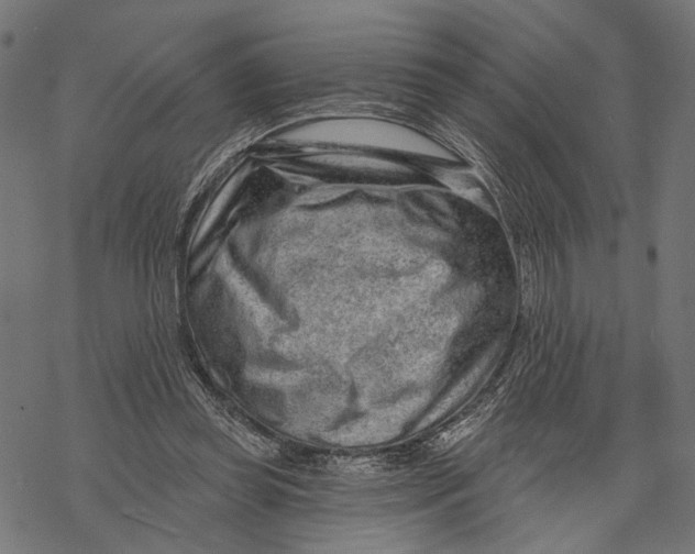 X0000067920349200605041715