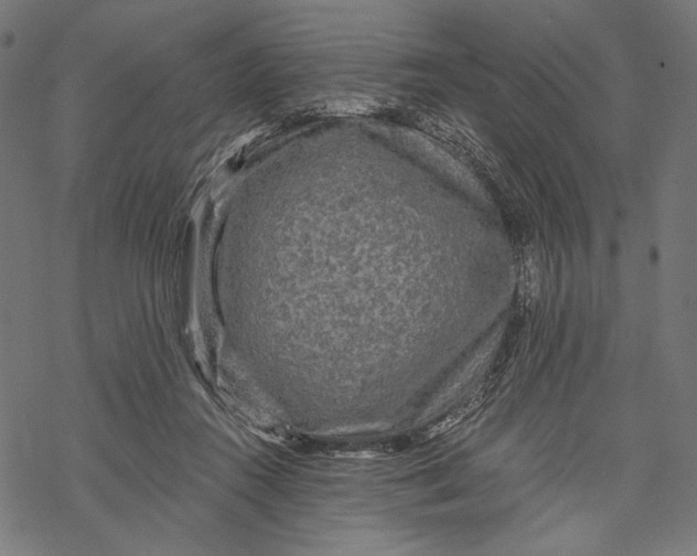 X0000067920360200605041715