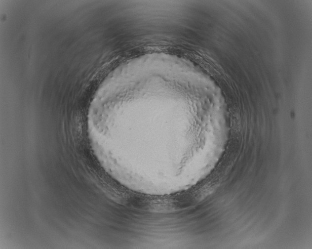X0000067920363200605041715